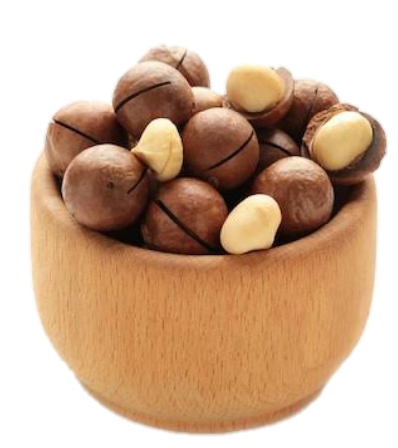 Macadamia Nuts (With Shell) thumbnail 3