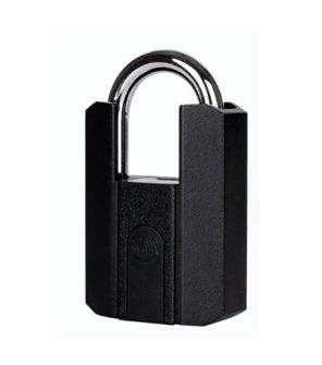 Befach Padlock SY-916 | fingerprint lock | Hardened Steel Shackle with Brass Cylinder | Key Operated Heavy Duty Security Lock for Gates, Shutters & Storage Units | Weatherproof Anti-Rust Pad Lock for Indoor & Outdoor Use