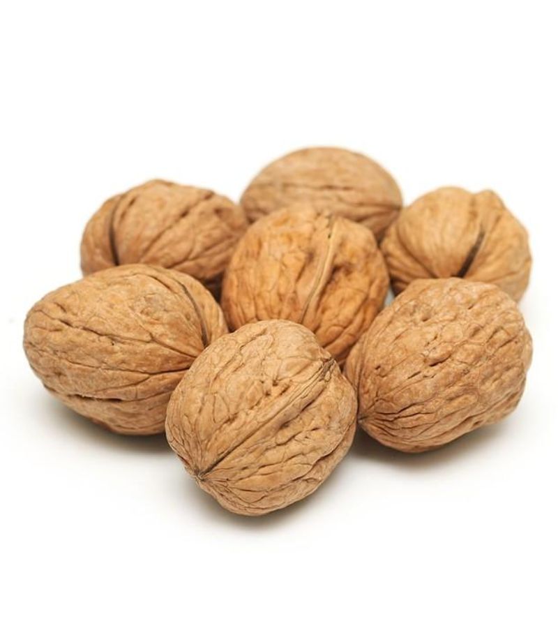 Paper Walnuts With Shells thumbnail 4